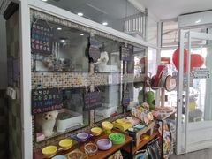 -读宠于你·约克夏比熊·睫角守宫·爬宠售卖(高新店)