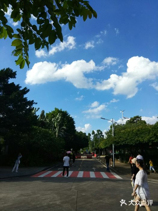 广东科学中心景点图片