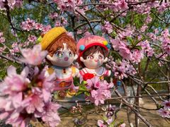 -桃花堤公园