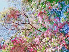 -人民公园(罗湖区)