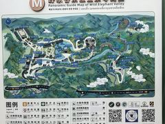 -野象谷景区