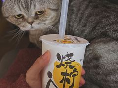 -烧柠·柠檬茶(大融城店)