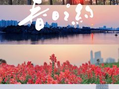 -海心沙亚运公园