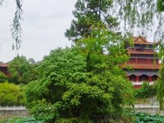 -开福禅寺