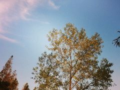 iphone_upload_pic-上海怡沁园度假酒店