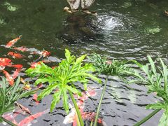 -国恩寺