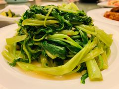 腐乳通菜-沙龙酒家