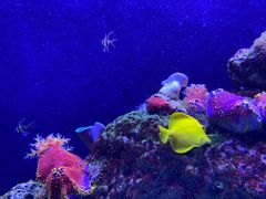 -成都浩海立方海洋公园