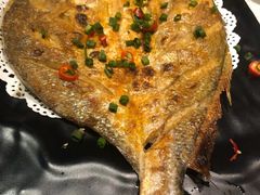 -九府羊·鲜羊火锅·烤串(新华路店)