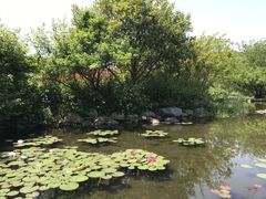-白马涧龙池景区