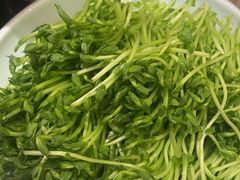 -左庭右院鲜牛肉火锅(长泰广场店)