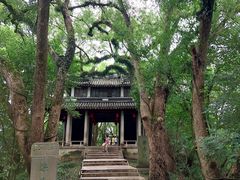 -蒋氏故居