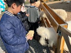 -HERRE·FARM 赫尔露营农场·团建聚会包场