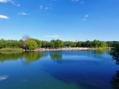 -大兴滨河森林公园