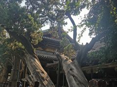 -晋祠博物馆