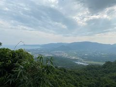 -亚龙湾热带天堂森林公园