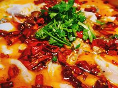 -龙梅肥肠鱼(明瓦廊店)