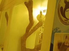 -龙猫仔乐园(惠福东路店)