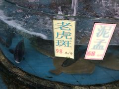 iphone_upload_pic-新庆嫂渔港