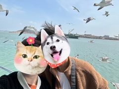-海驴岛(荣成市)
