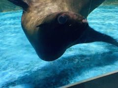 -常州海昌海洋探索馆