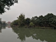 -小洲村