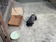 -香叶草中餐厅(川白楼店)
