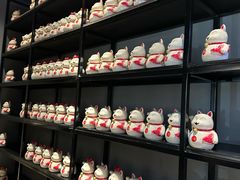 -舒来喜鱼锅(伊河路店)