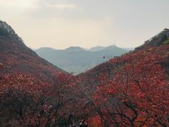 -石门坊