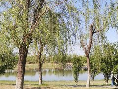 -武清南湖绿博园