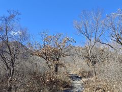 -玉渡山自然风景区