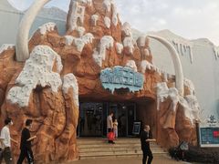 -苏州乐园森林水世界