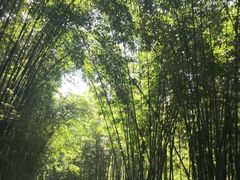 -漫山居私汤民宿全竹宴
