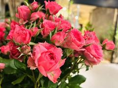 -东方大班·足道·采耳·疗愈SPA(丽都店)