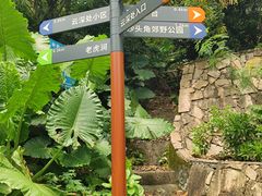 -梧桐山风景名胜区