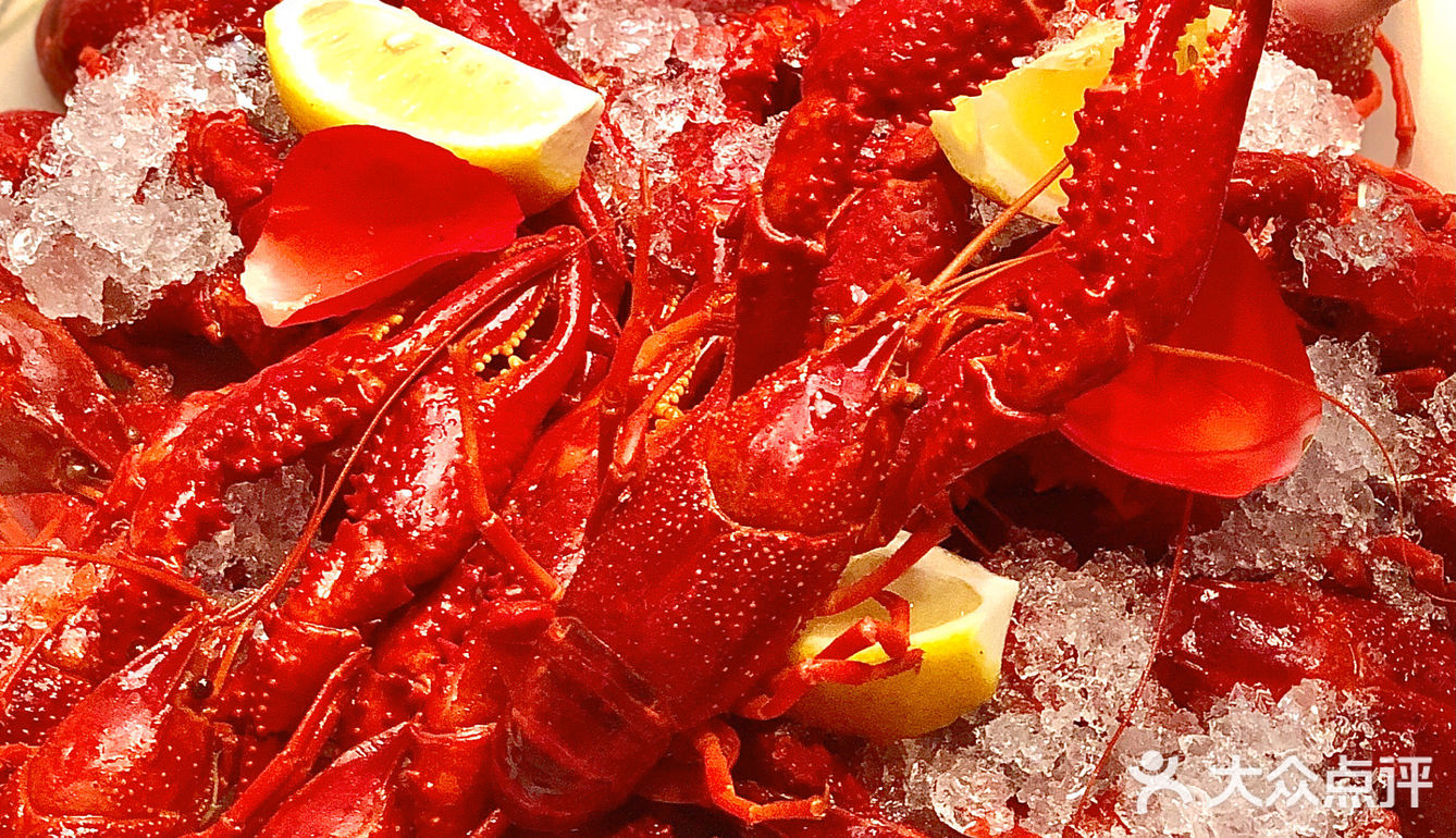 上海美食🦞羊蝎子配小龙虾才是夏天！