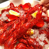 上海美食🦞羊蝎子配小龙虾才是夏天！