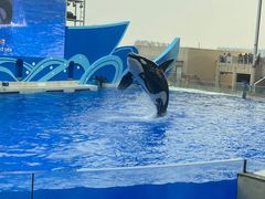 -上海海昌海洋公园