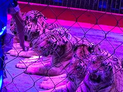 -西安秦岭野生动物园