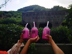 -龙井壹号·茶缘山景宴(龙井村店)
