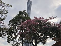 -海心沙亚运公园