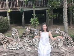-东芭乐园