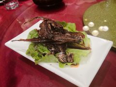 -阿莉餐厅(枣阳路店)