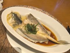 -广州富力君悦大酒店空中花园