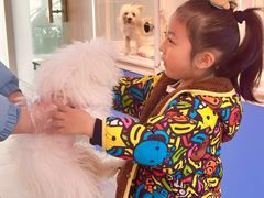 -翊宠yipet猫狗购宠庄园犬舍•猫舍