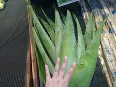 -果蔬好生活超市(乐堤港店)