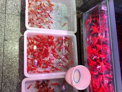 -宝鸡东道花鸟鱼虫市场(吉利花园商场店)