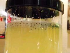 -鸣记脆皮烤鱼(岐山路店)