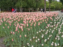 -长春公园(普阳街道)