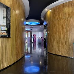 -比华利美容医院